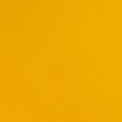 TB9123S - Jaune Jonquille Satin 2